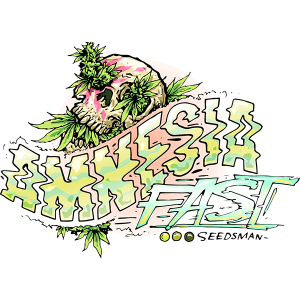 Amnesia FAST Feminised Seeds - 50