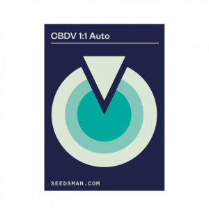 CBDV 1:1 Auto Feminised Seeds - 5