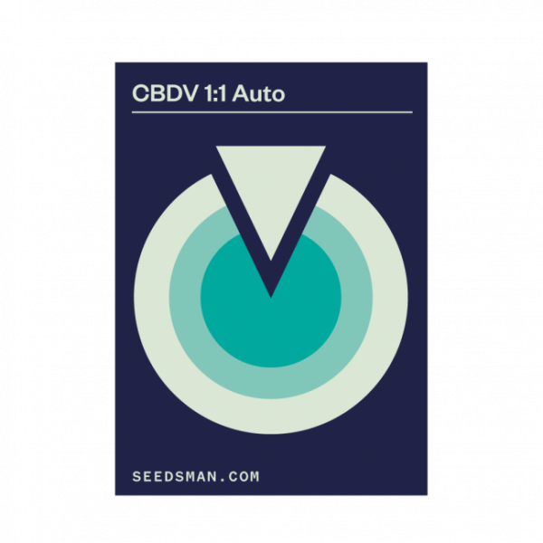 CBDV 1:1 Auto Feminised Seeds - 5