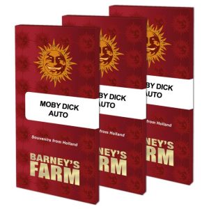 Moby Dick Auto Feminised Seeds - 5