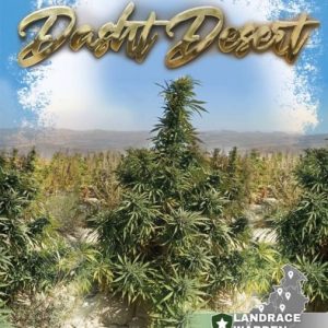 Dasht Desert Regular Seeds - 5