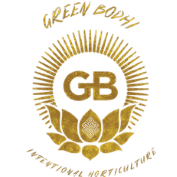 Green Bodhi Seeds
