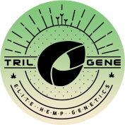 Triologene Seeds