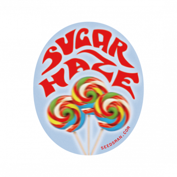 Sugar Haze Regular Seeds - 10