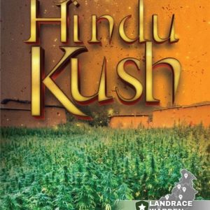 Hindu Kush Regular Seeds - 5
