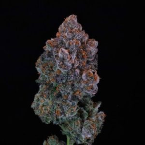 Green Apple Candy Feminised Seeds - 5+2