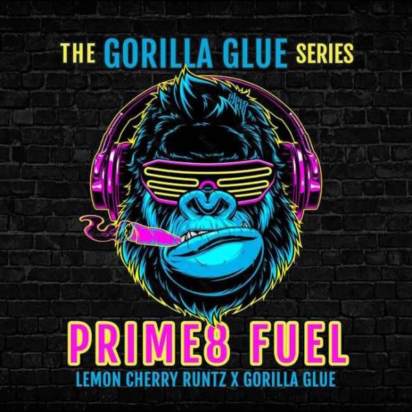 Prime8 Fuel Feminised Seeds - 6