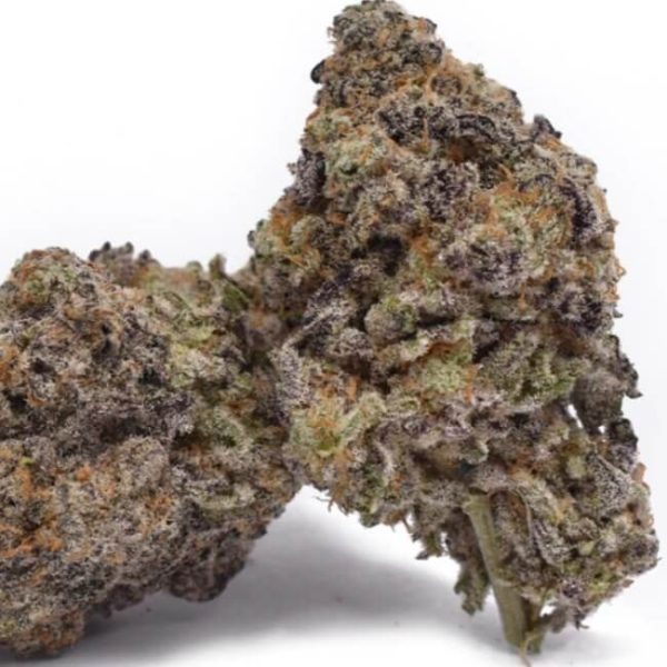 Scottie 2 Hottie CBD 4:1 Feminised Seeds - 5