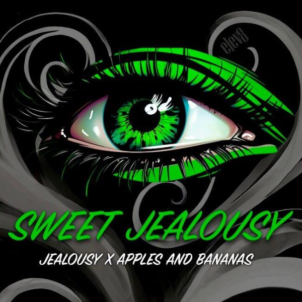 Sweet Jealousy Feminized Seeds - 6