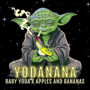 Yodanana Feminized Seeds - 6